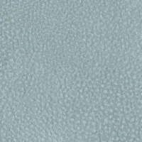 Touch Teal Image