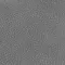 Touch Moon Image